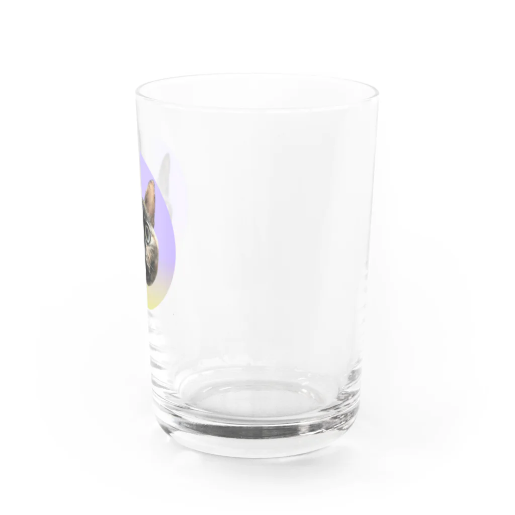 osuimono(ふーふのふ～)のきょとんとした猫 Water Glass :right