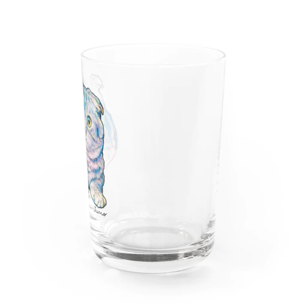 ジュノの秘密のアトリエのスコティッシュフォールド／Juno Water Glass :right