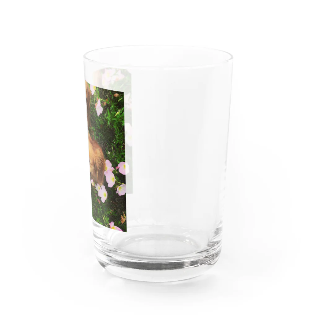 あとりえkittenのダックスのマロンとカプチーノと花畑 Water Glass :right