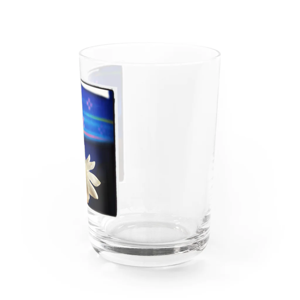 irinanchi_music☆のさんぴん花の旅 Water Glass :right