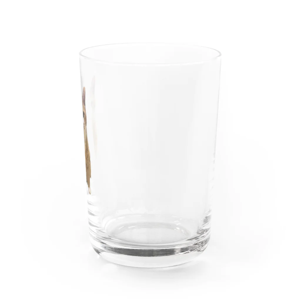 傍若無人のちゃたろうくんのすわりかたがへんなちゃたろうくん Water Glass :right