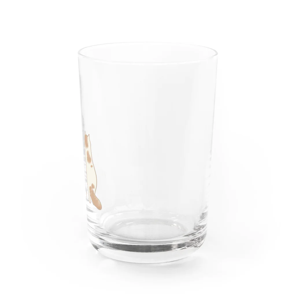 chiyotao_mi_netの太鳳ちゃん_3 Water Glass :right