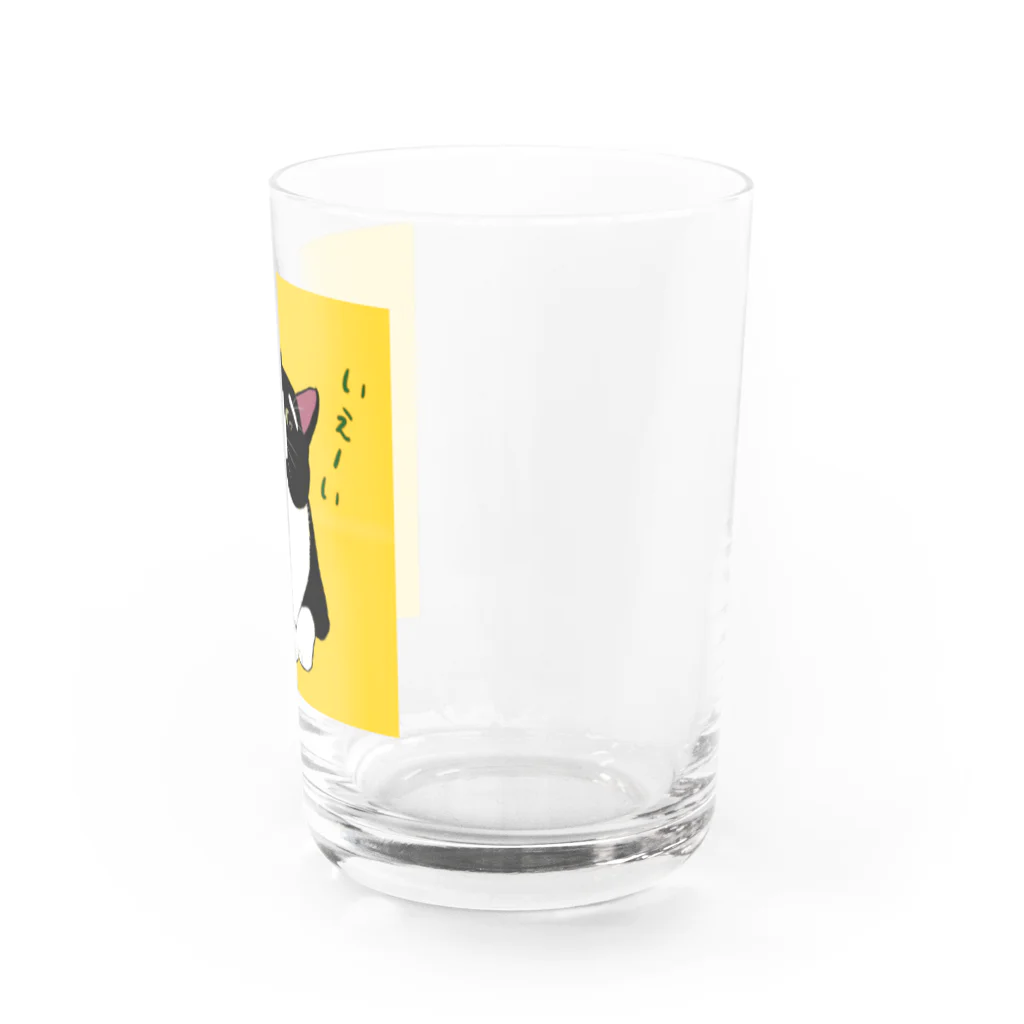 穏やかな猫の穏やかな猫 Water Glass :right