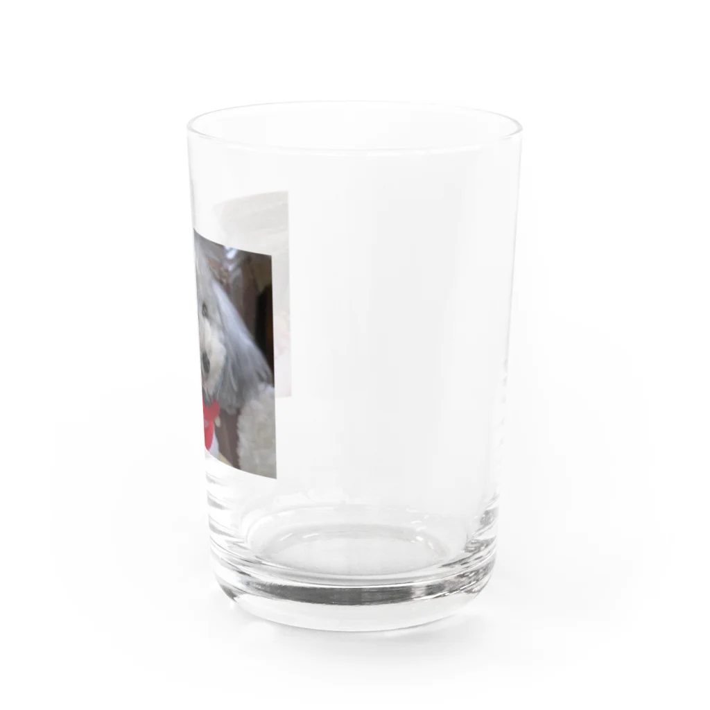 iyasinceのお犬好し「ぱぁるたん」コミュニケーション能力 Water Glass :right