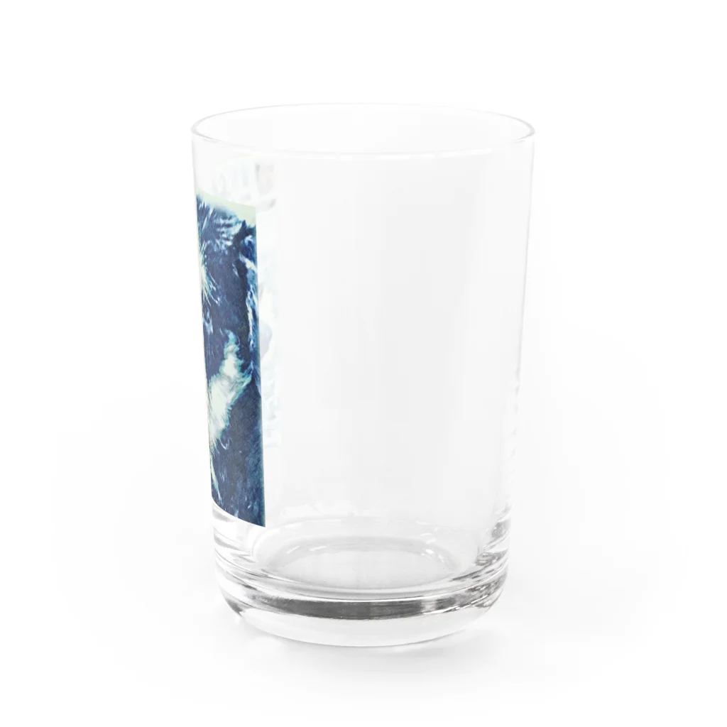 aviorのミニシュナ　E Water Glass :right