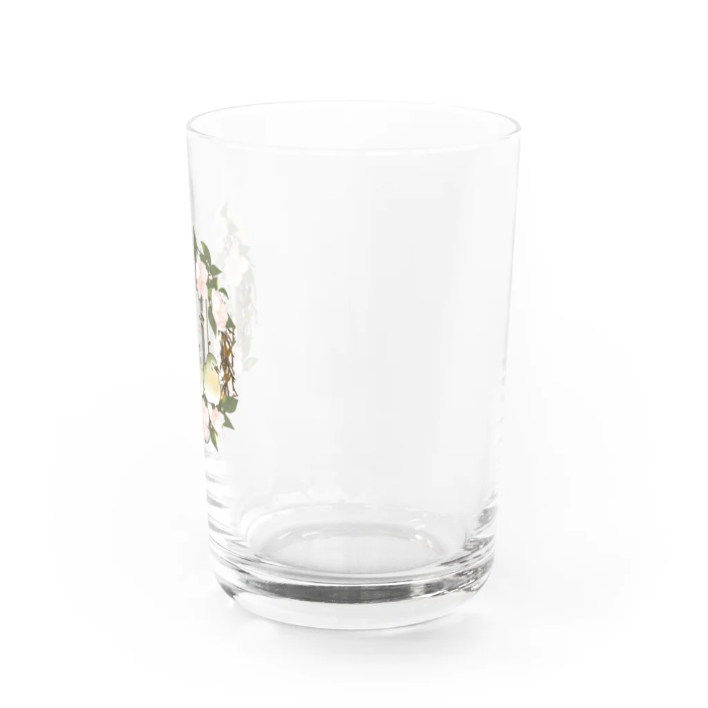 甘栗堂のメジロくん　グラス Water Glass :right