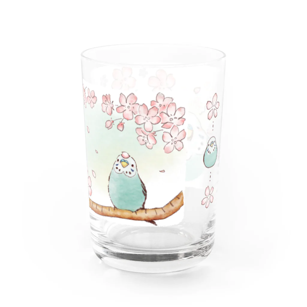 - 羽やすめのトマリ木 -の水色インコさんと春うらら Water Glass :right