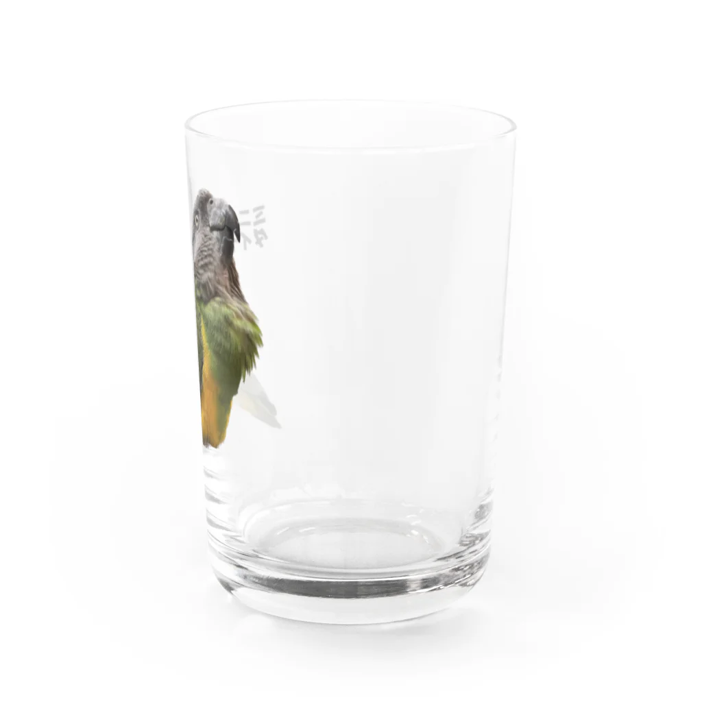 nakakulaaniのミニチュアダイナソー（日本語版）２ Water Glass :right