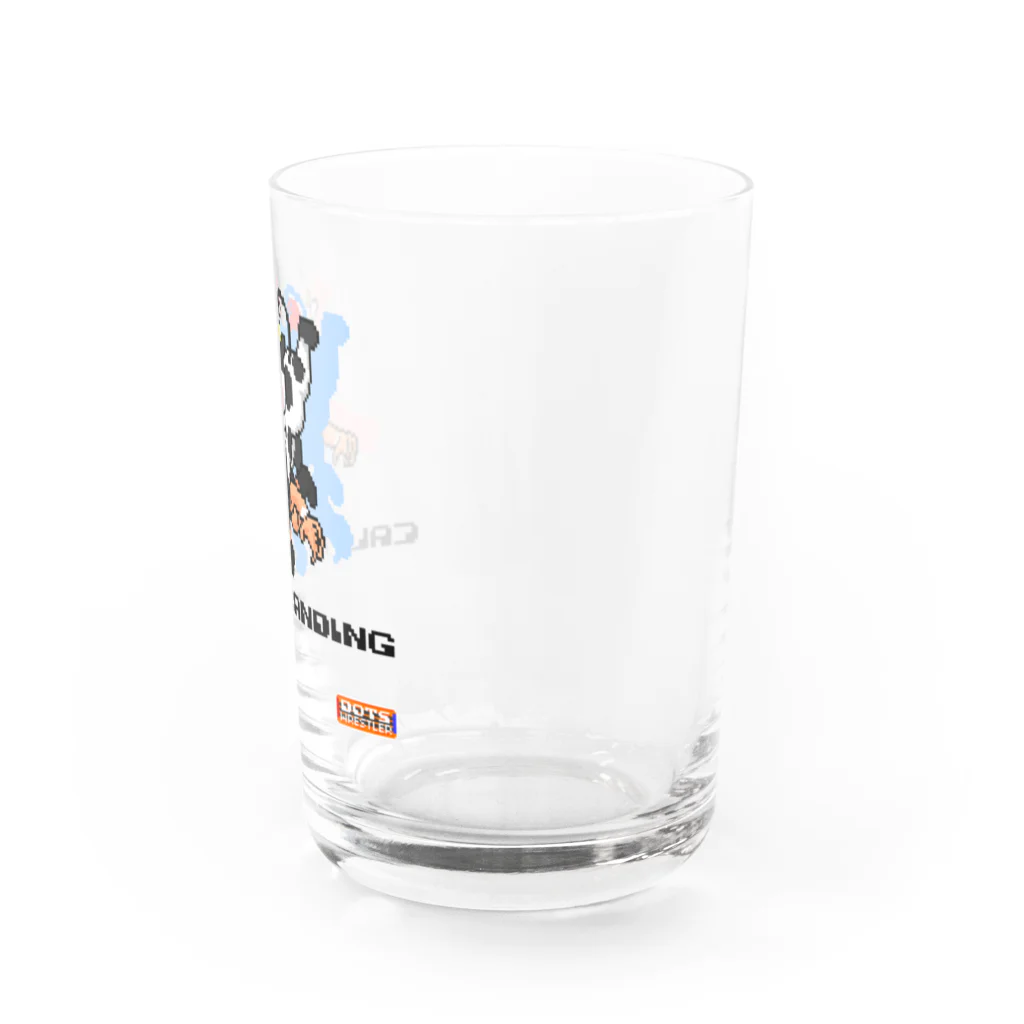 DOTSWRESTLERのCALF BRANDING（Black Logo） Water Glass :right