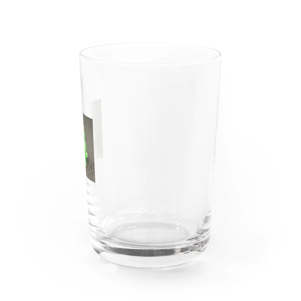 M.FAXのカエルモドキ Water Glass :right