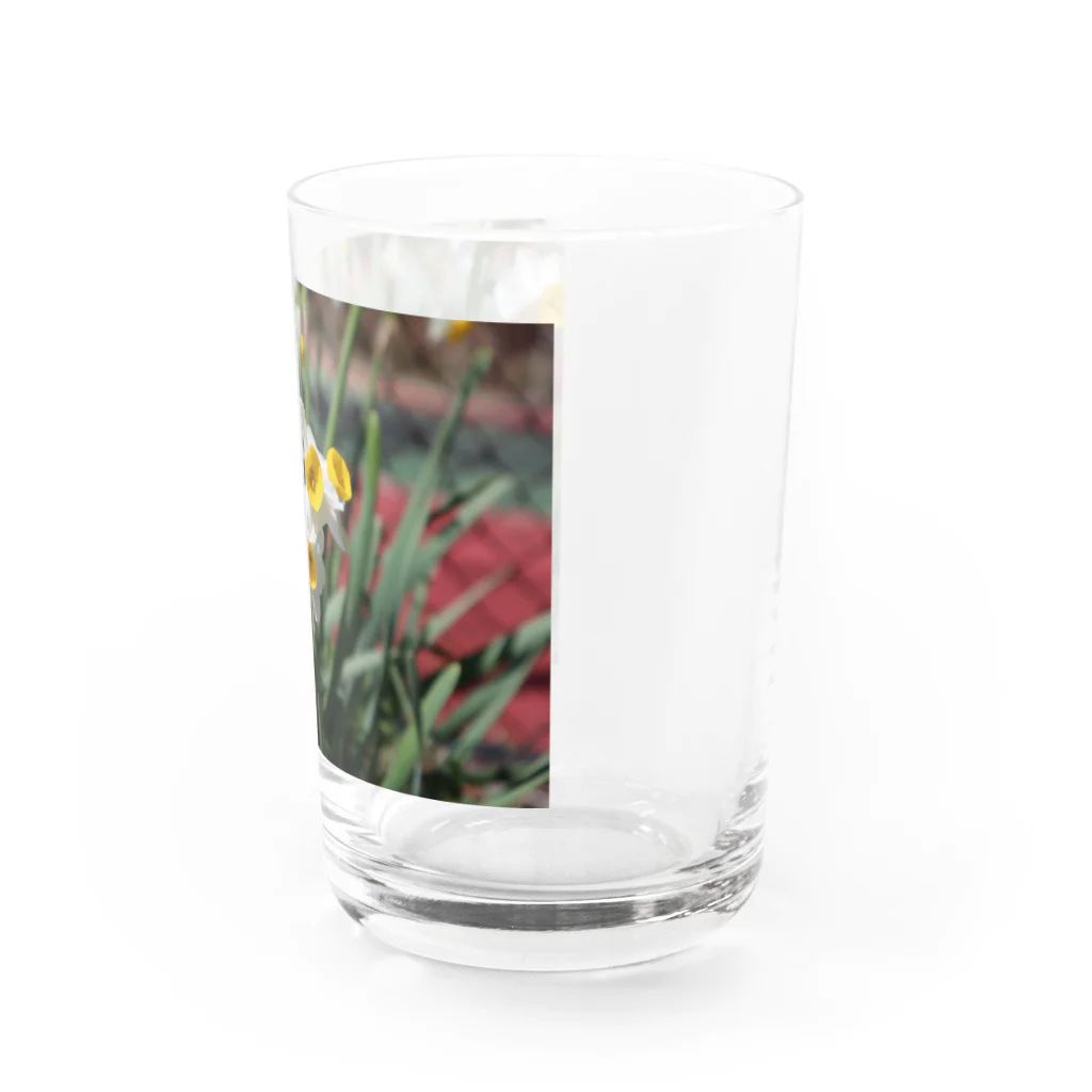 s__y_104のすいせん Water Glass :right