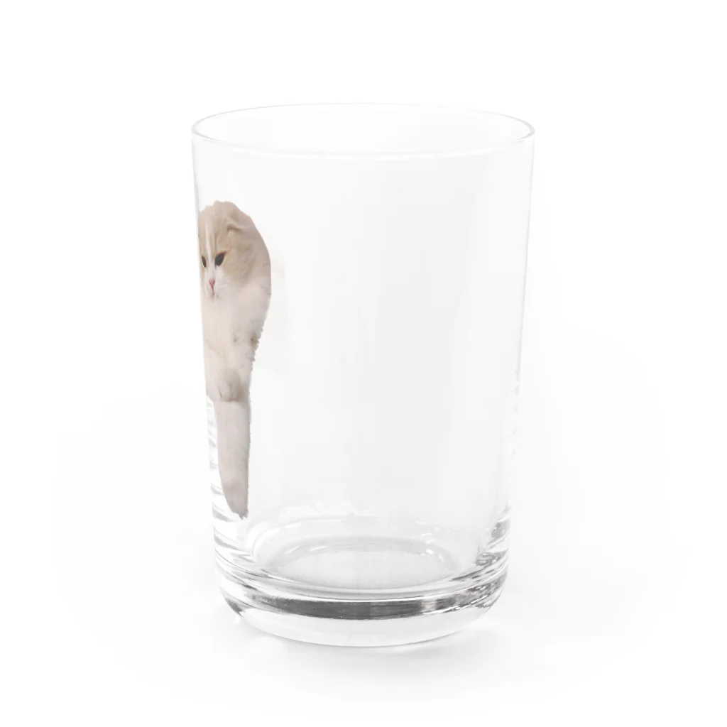 ふうまくんのお店のおねむなふうまくん Water Glass :right