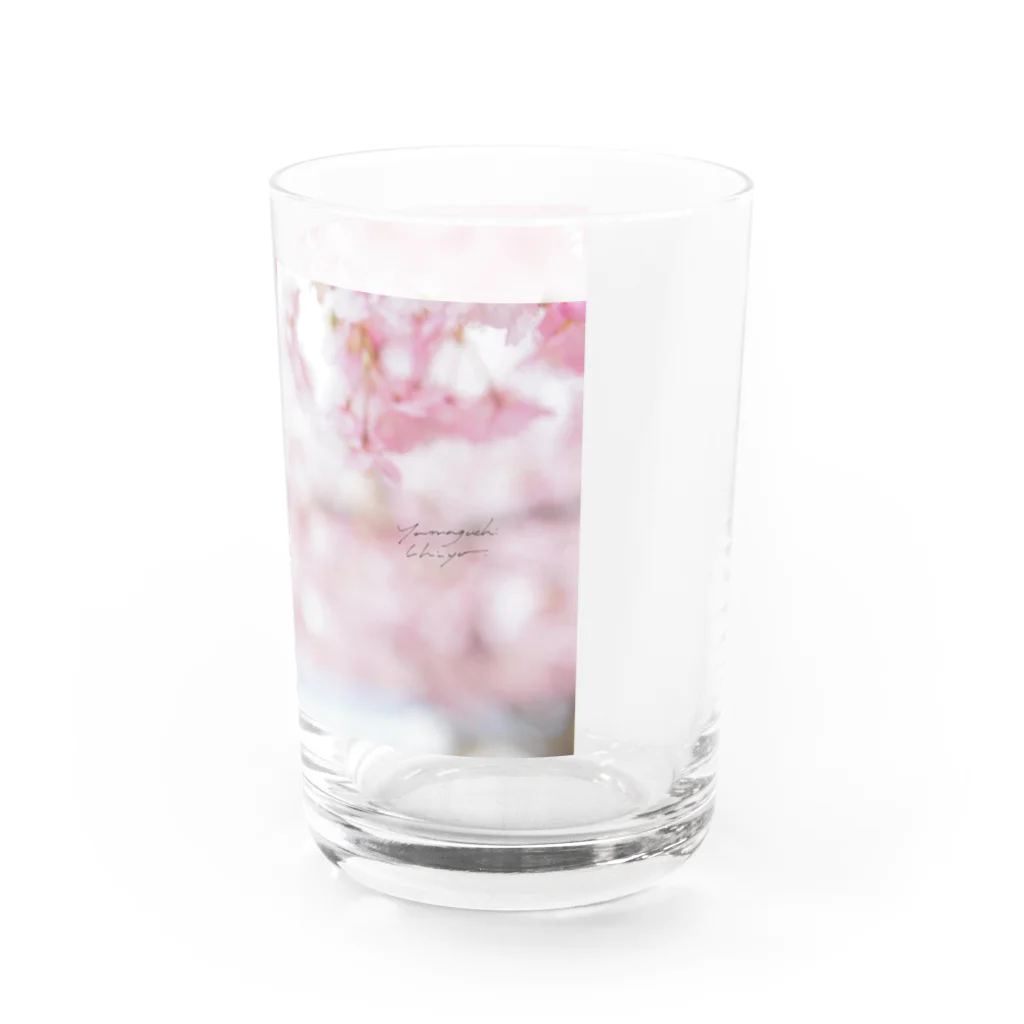 スイーツと深呼吸、時々　ネコのSAKURA Water Glass :right