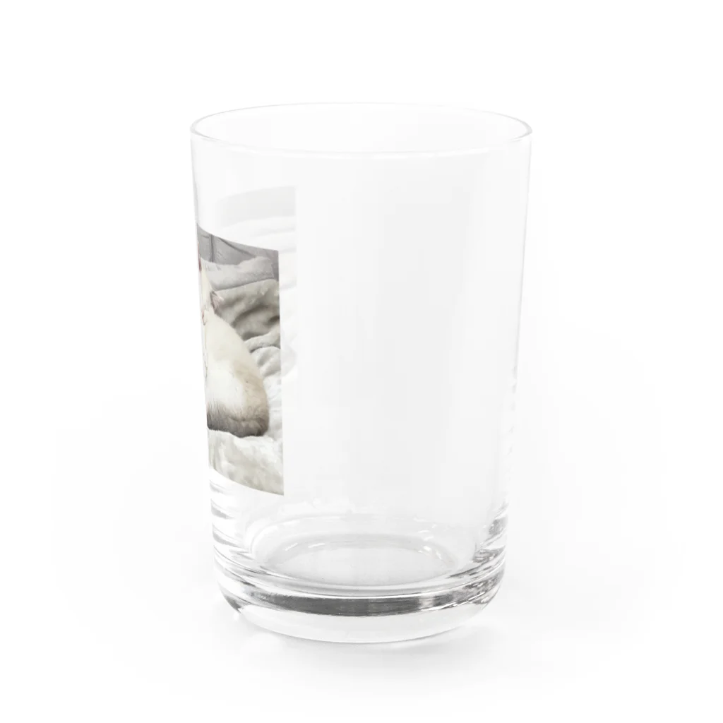 RikuMiku(りくみく）のりくみく（なかよし） Water Glass :right