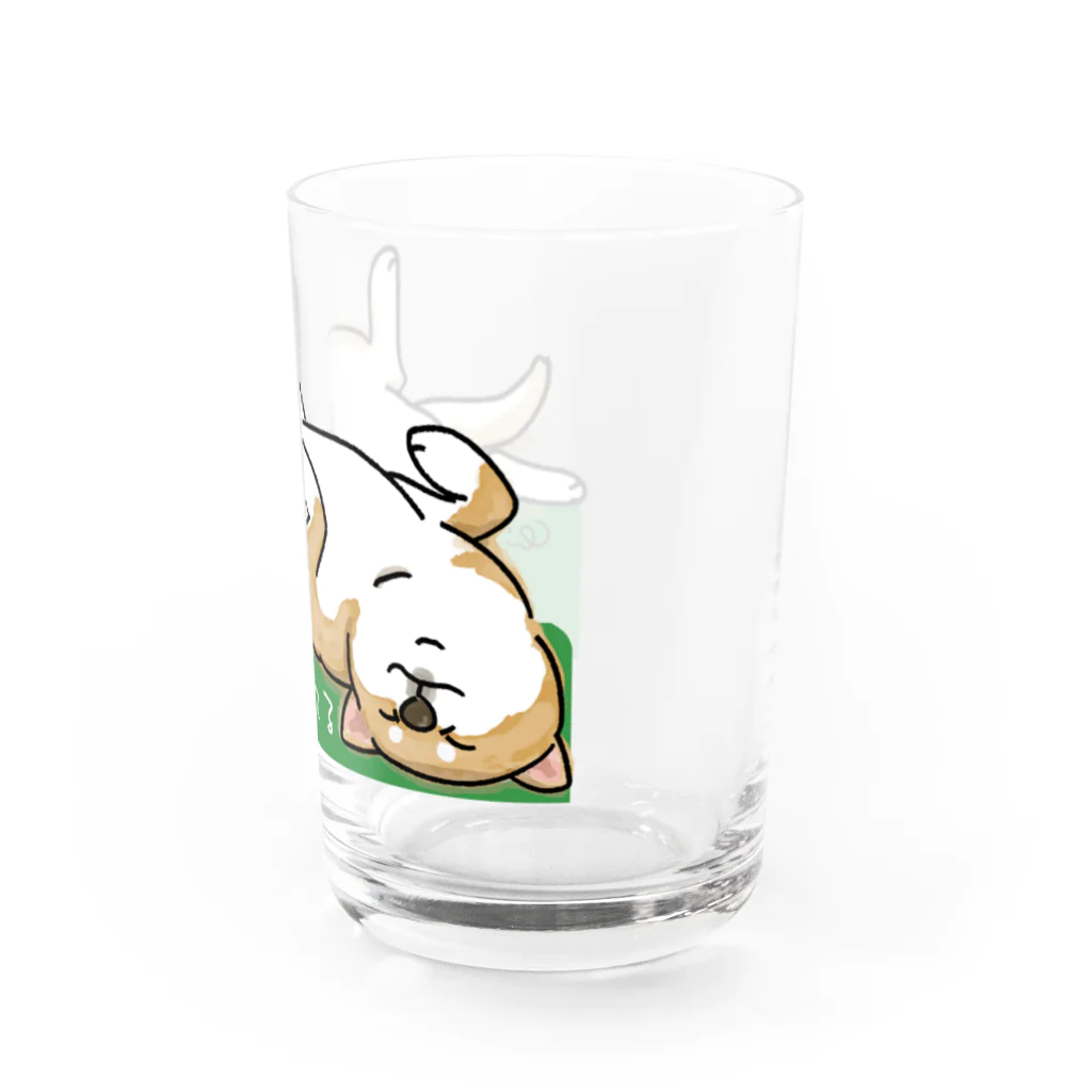 chizuruの柴犬落ちてる（茶）背景グリーン Water Glass :right