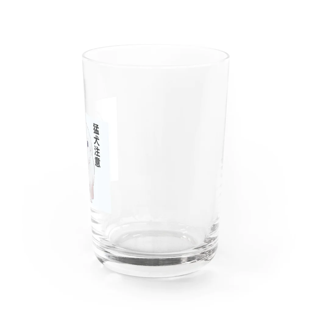 猛犬のマルプーくんの猛犬なつもりのマルプーの社長さん Water Glass :right