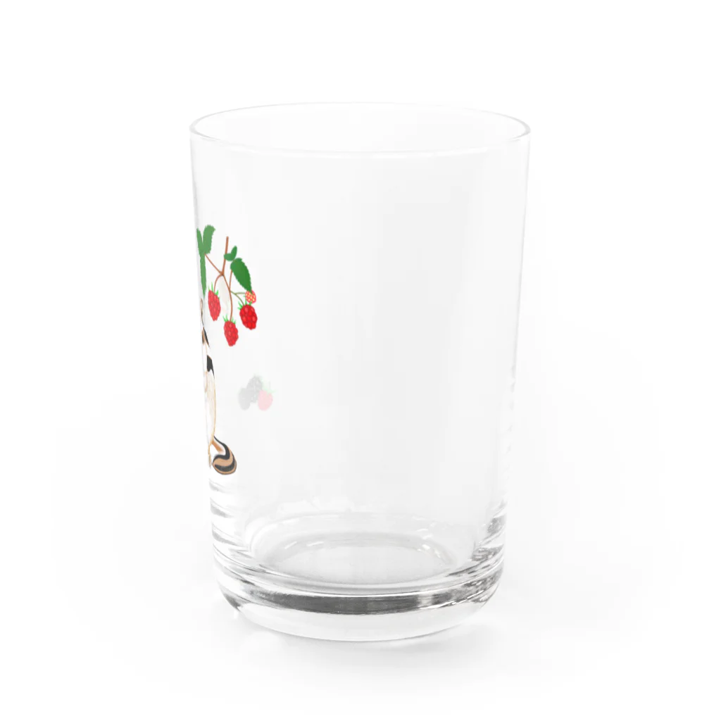 PERIDOTの木苺とシマリス Water Glass :right