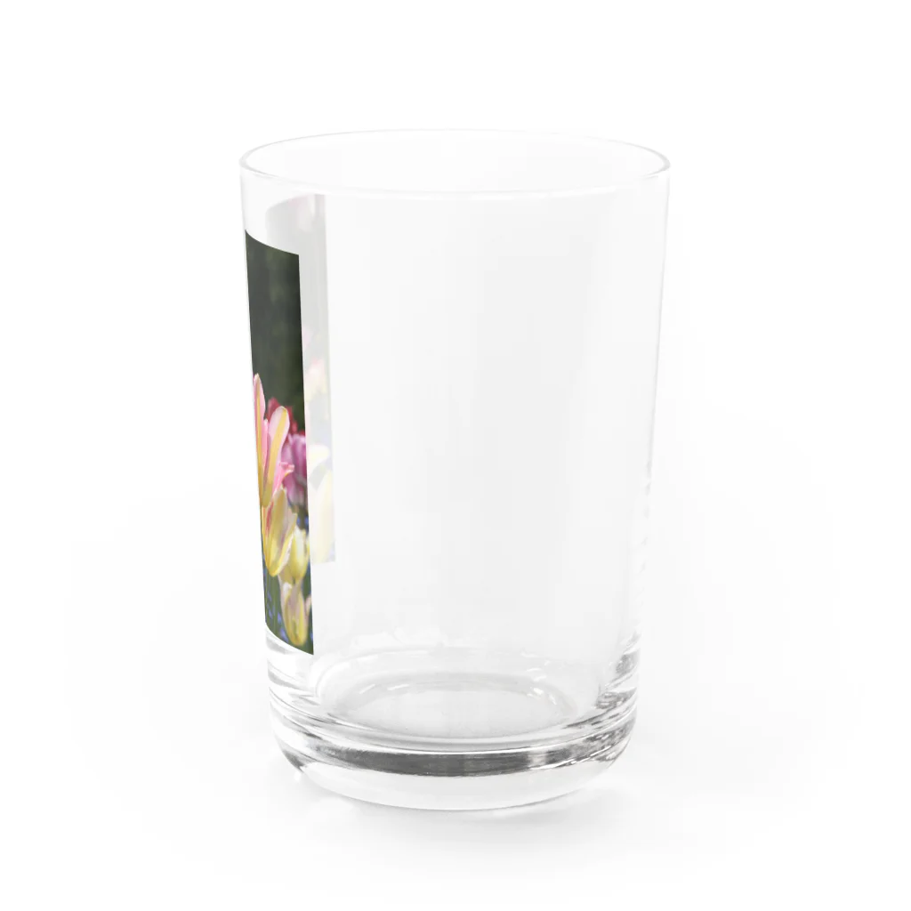 Gallery Crystalのhappy  Water Glass :right