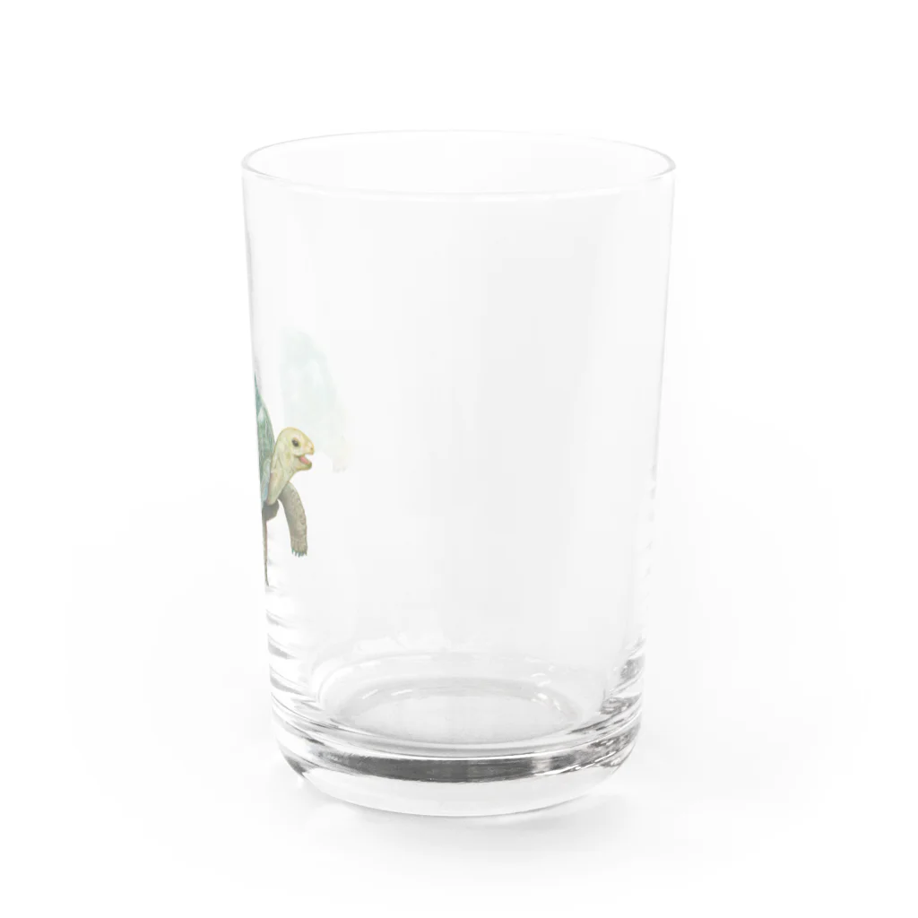 めろんぽっぷのお店だよの踏みだせ、アルダブラゾウガメ 。 Water Glass :right