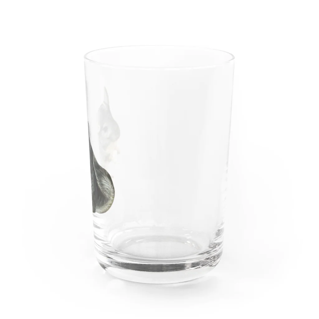 いきもの大好き！ほほえみフレンズのチンチラが好きな人の為のアイテム Water Glass :right