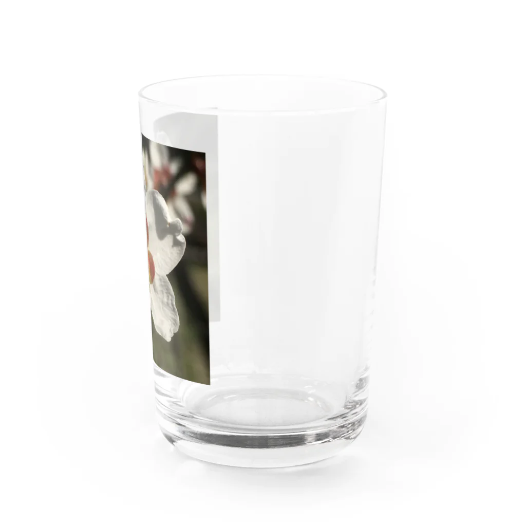 hukuchiyan7611の梅 Water Glass :right