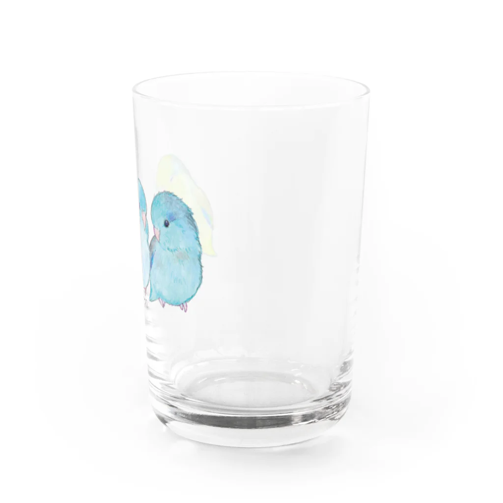 aoamo shopのaoamoマメルリハ Water Glass :right