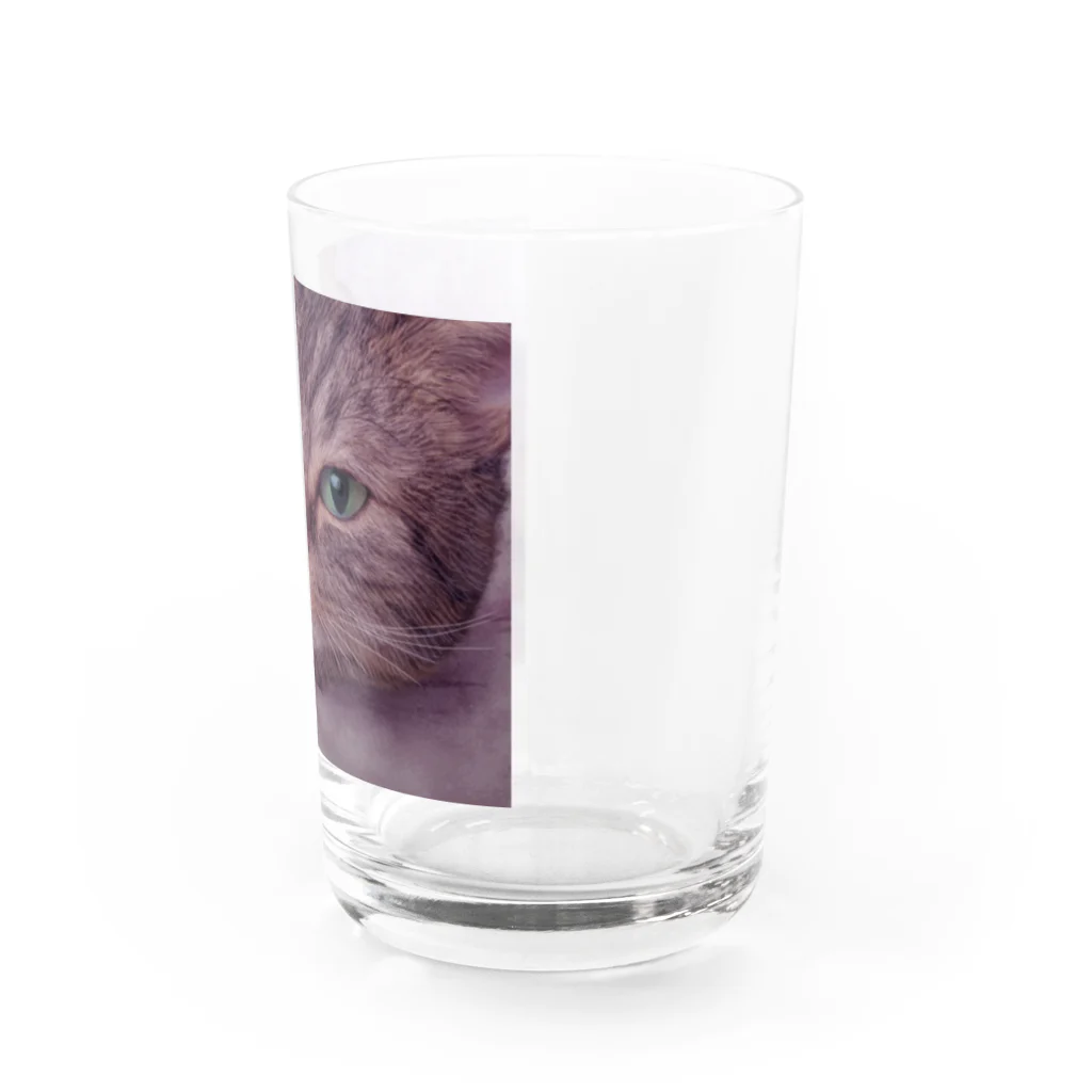 MUYU /  Animal ArtistのMemories with my pet １ Water Glass :right