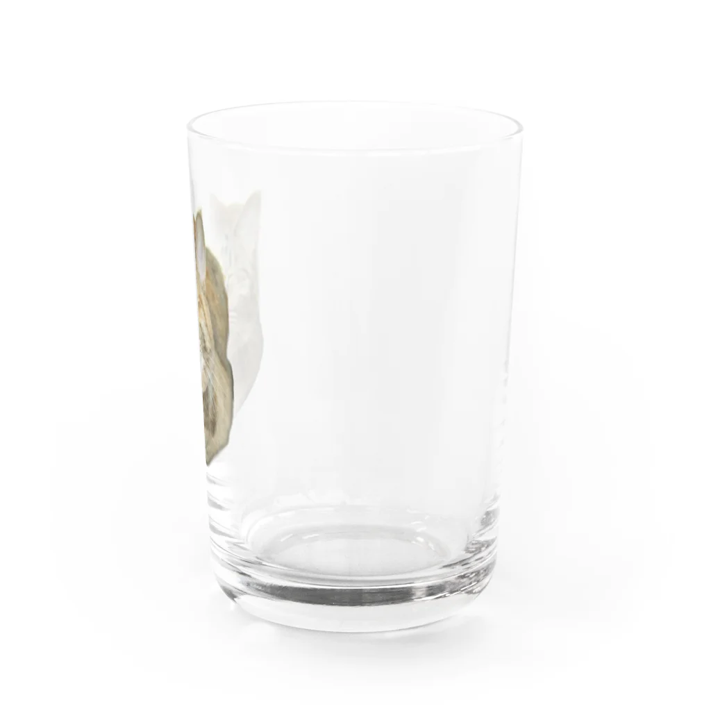 桃くるみSHOPのアハハにゃん(おててないない) Water Glass :right