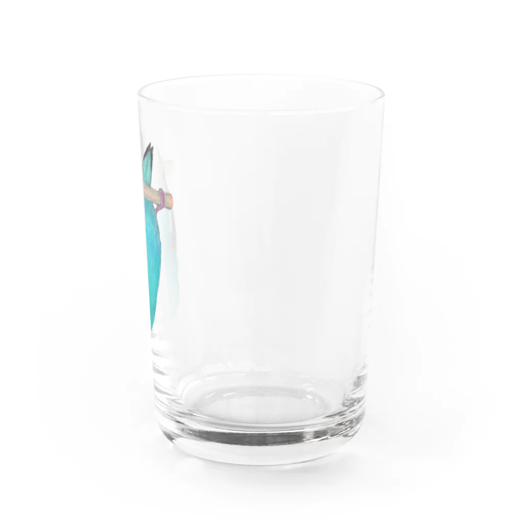 森図鑑の[森図鑑] サザナミインコ水色 Water Glass :right