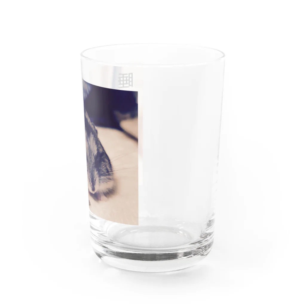 Kawauso-sanの睡眠大事！ Water Glass :right