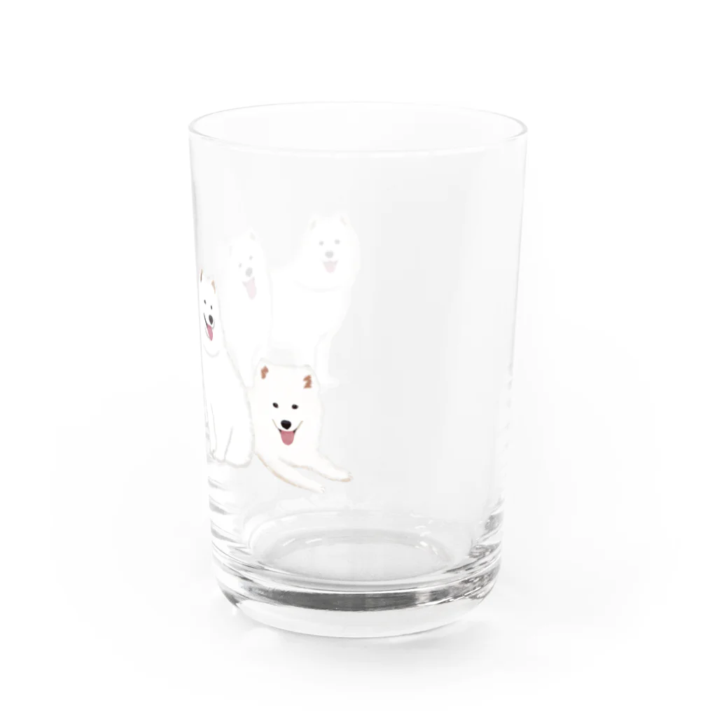 masumi maedaの寄り添う　サモエド　犬 Water Glass :right
