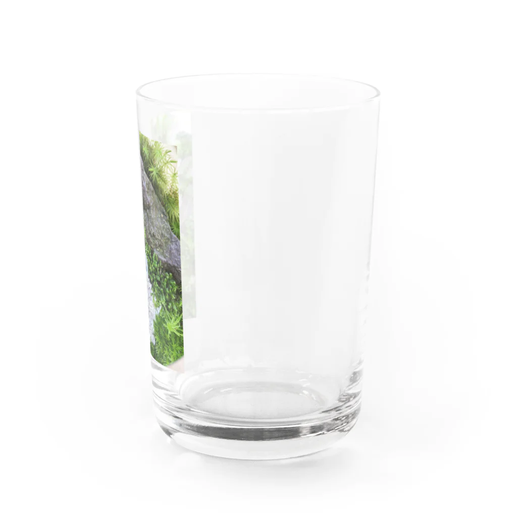 アトリエWindwingの苔テラリウム　雅 Water Glass :right