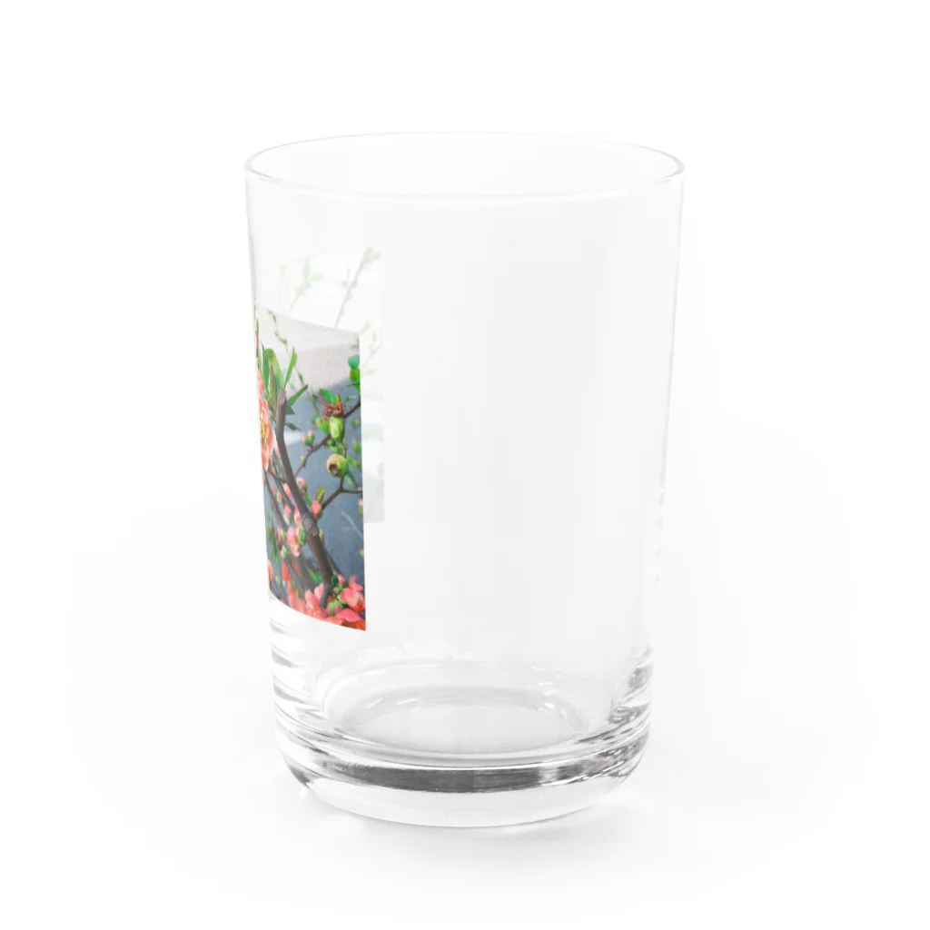 堕天使ストアの花 Water Glass :right