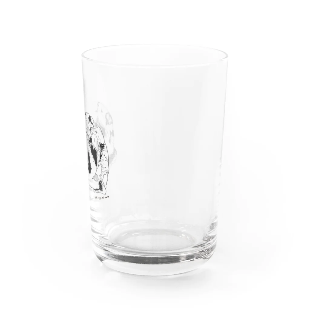 chippitomuのふくふくふくらアメフクラガエルくん Water Glass :right