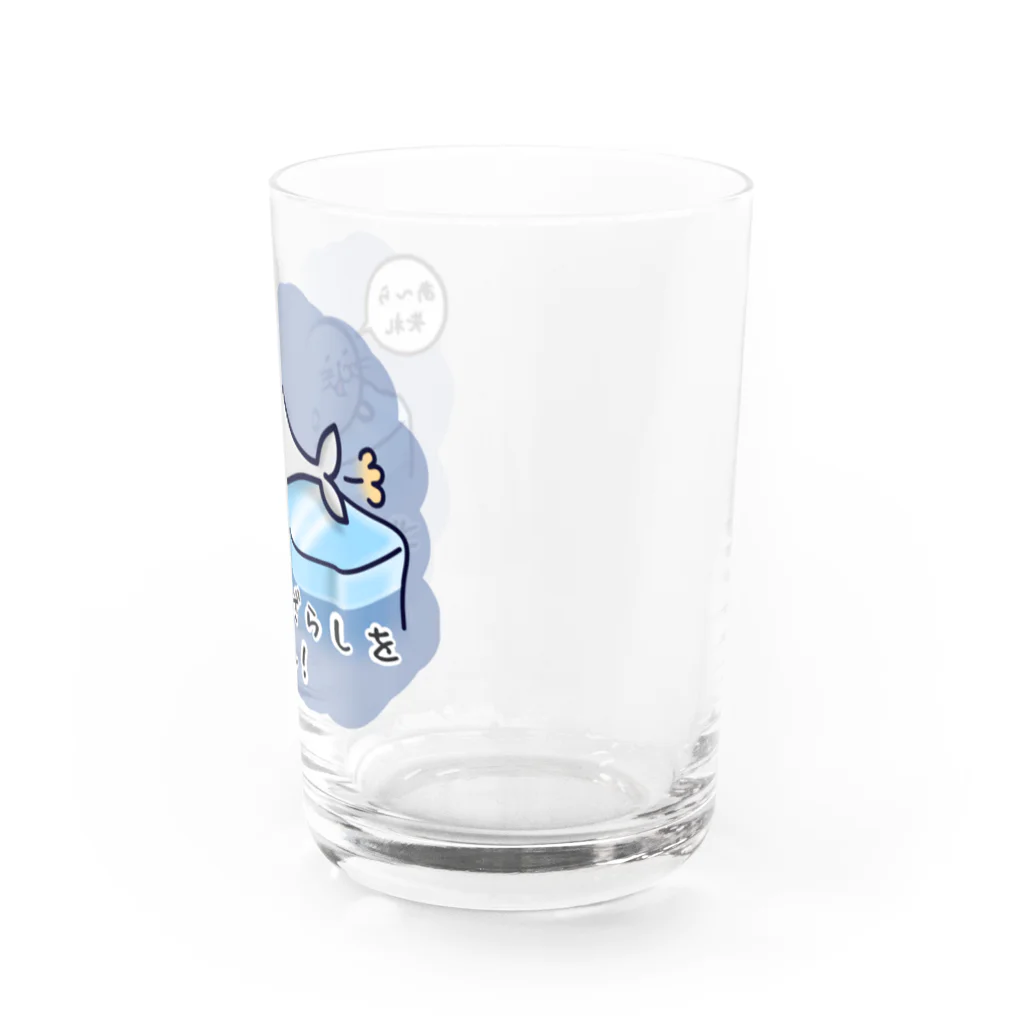 ひよこ男爵とまだむにゃんのごまふあざらにゃん Water Glass :right