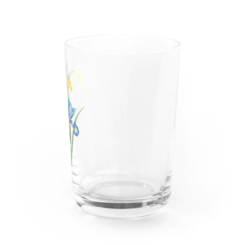 Hungry Freaksのスパニッシュ・アイリス Water Glass :right