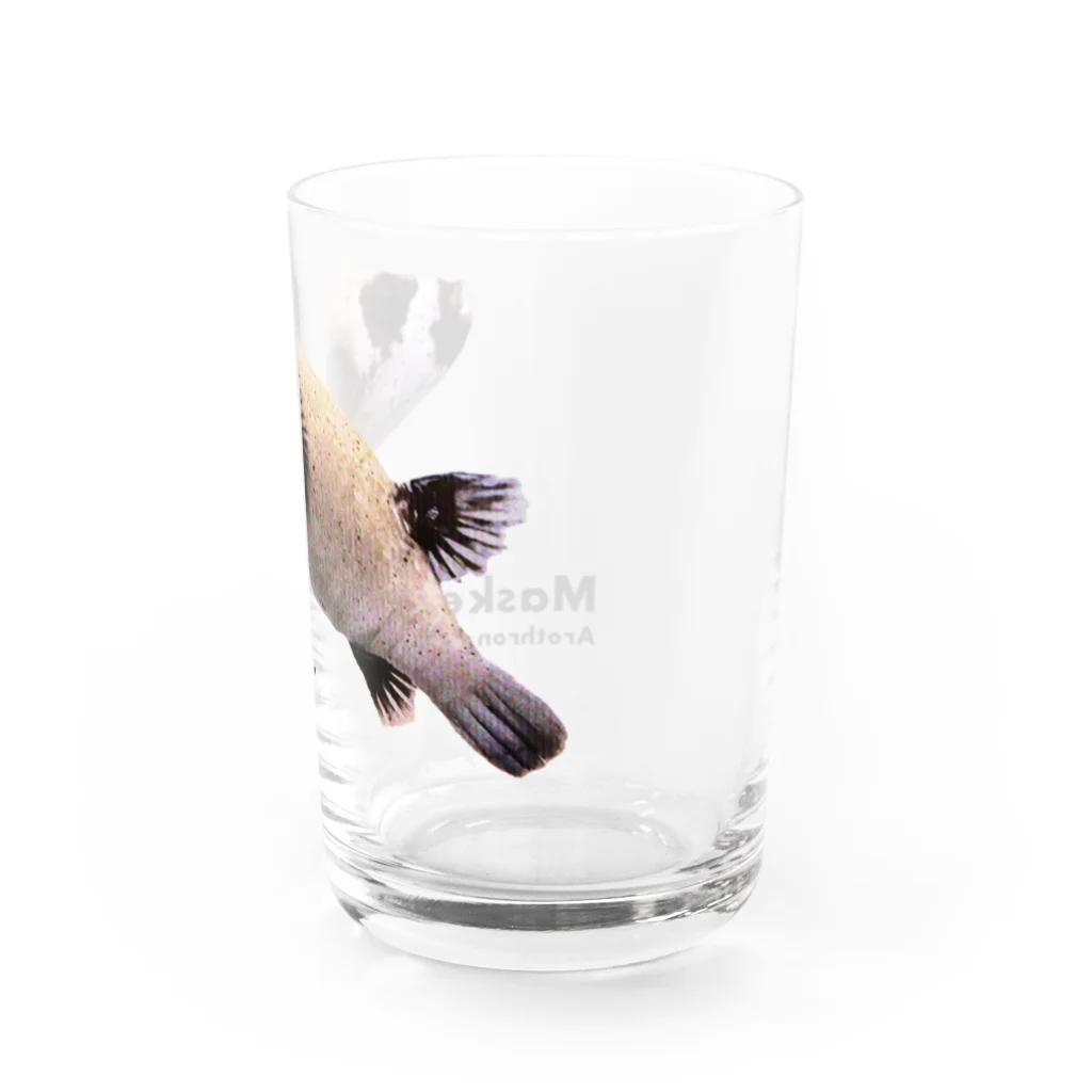 FUGU_GOODSのマスクドパファー Water Glass :right