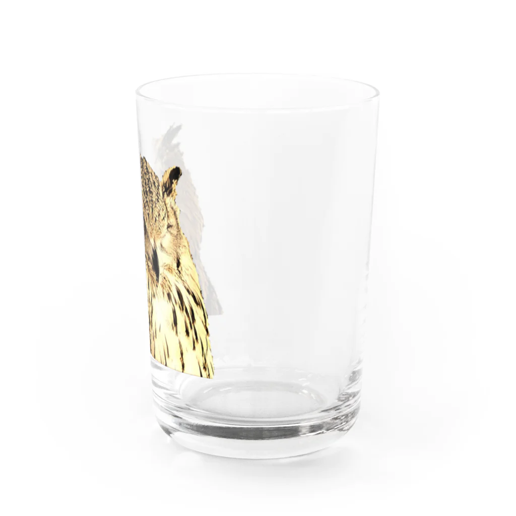 座敷ふくろうのぬいぐるみっぽいふくろう Water Glass :right