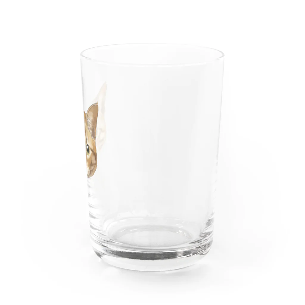 みきぞーん｜保護猫 ミッキー画伯と肉球とおともだちのmau Water Glass :right