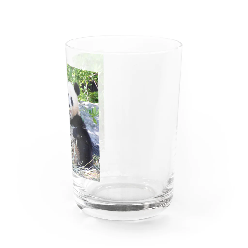 gackeyのシャオシャオ 2023春 Water Glass :right