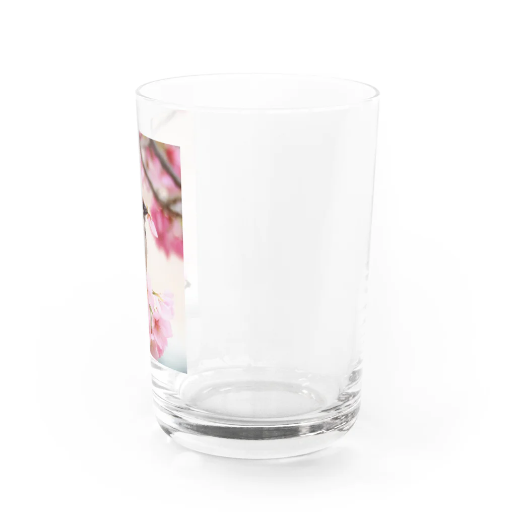 Toritorizmの桜スズメ Water Glass :right