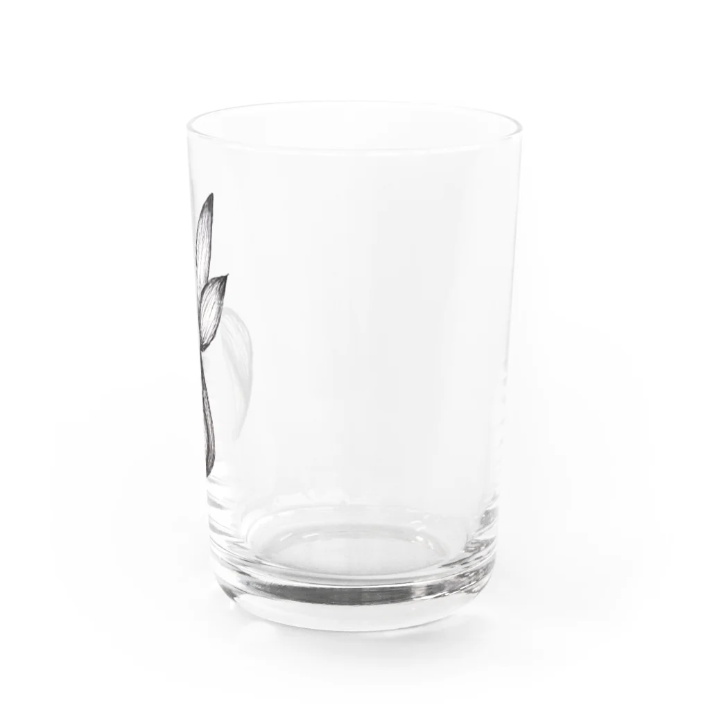 ibitsu-kaのmitaneki Water Glass :right