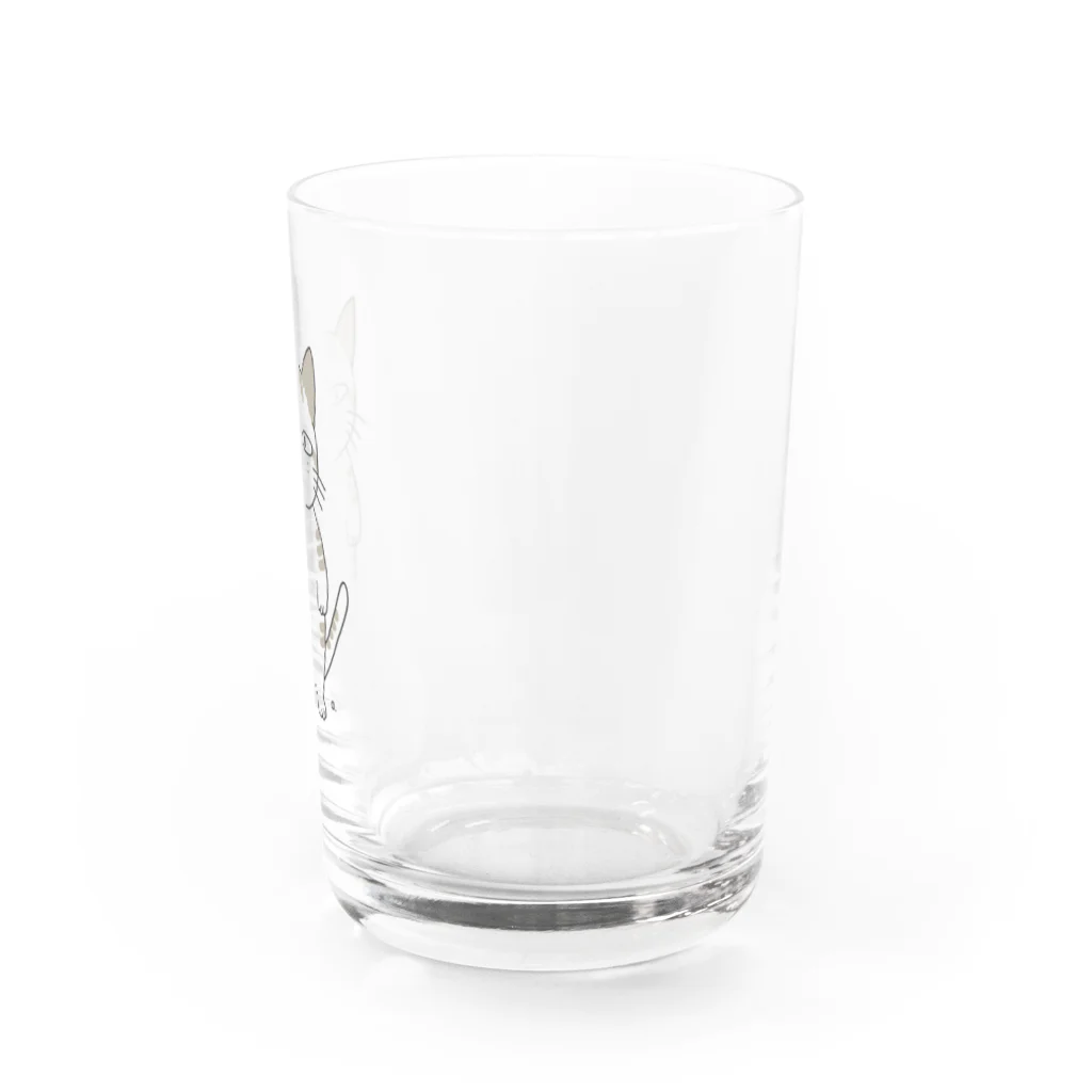 あけびの無愛想なサバトラ猫くん Water Glass :right