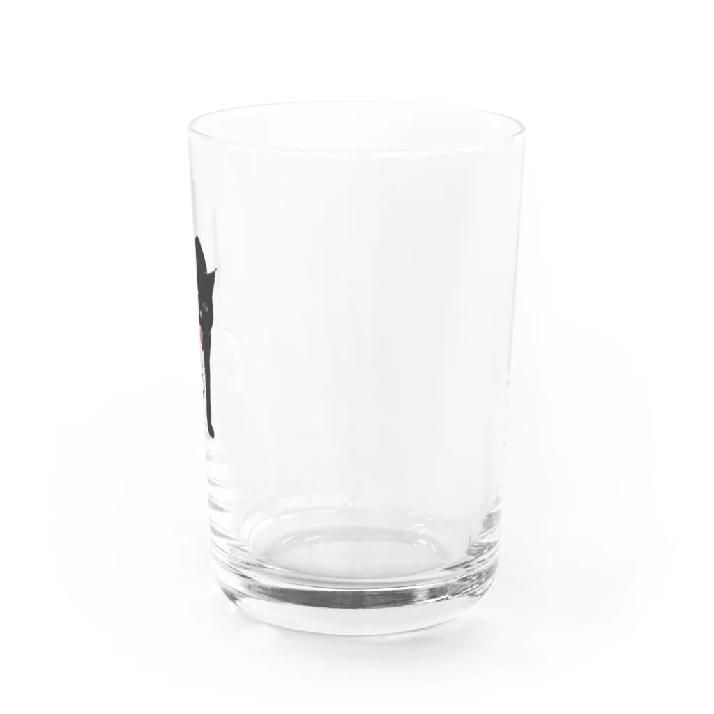 地下の猫 Water Glass :right