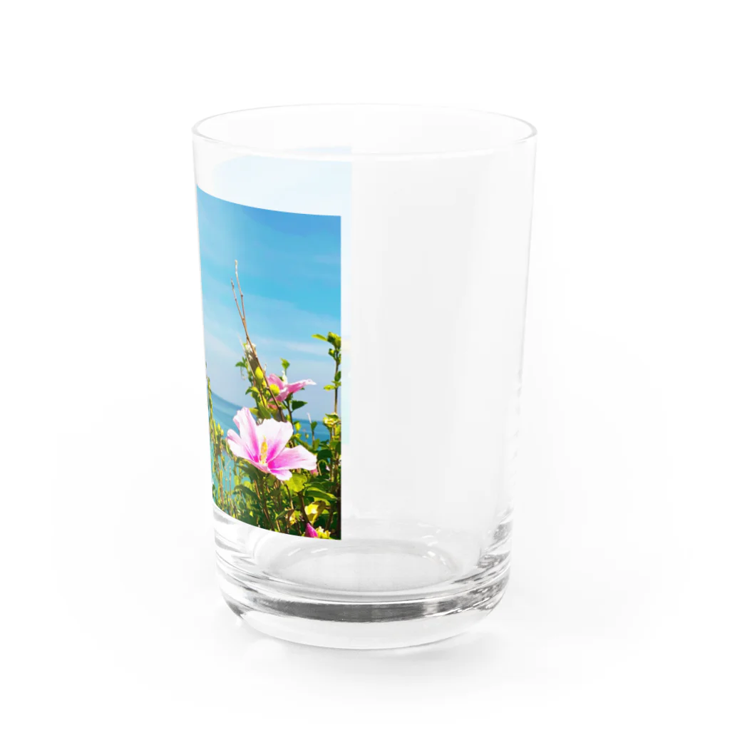 Seira's_shop♡Le lien(ル リアン)の私の大好きな海 Water Glass :right