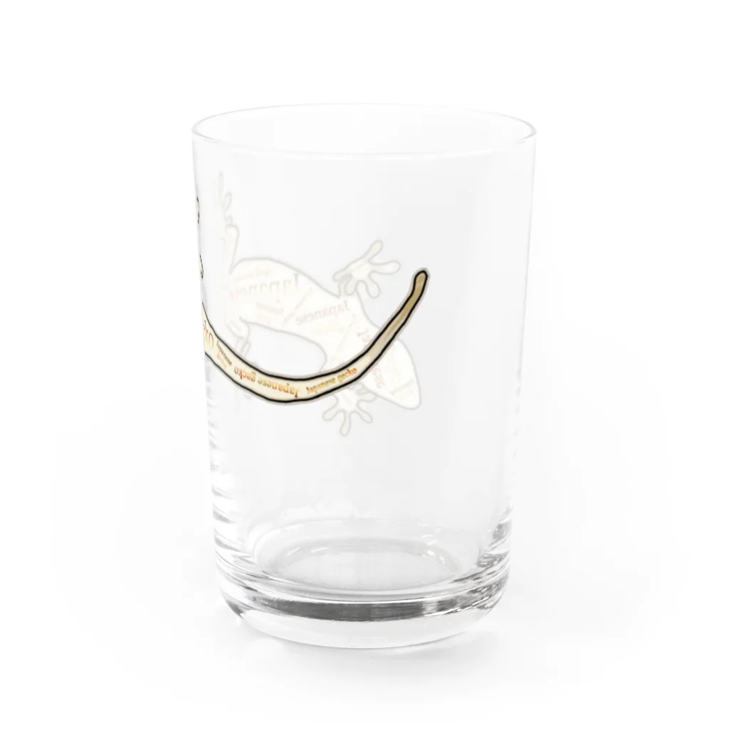 LalaHangeulのJapanese gecko(ニホンヤモリ)　英語デザイン Water Glass :right