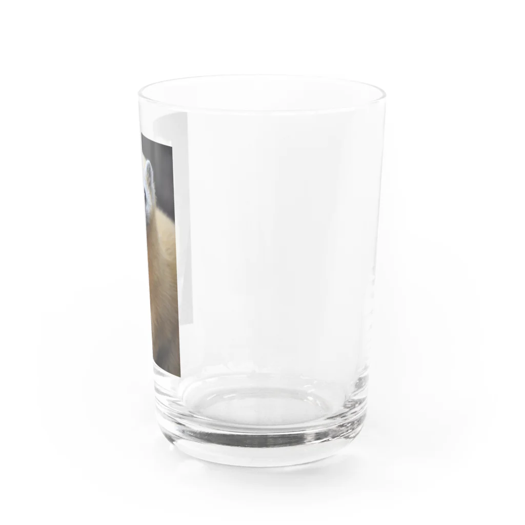 sw950502のホンドテン Water Glass :right