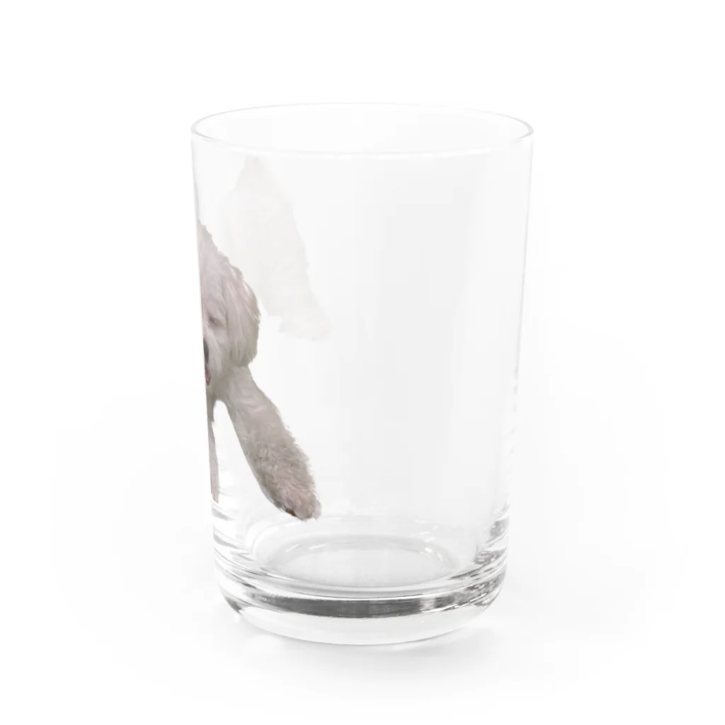 うちの犬のグッズの幸せそうな顔のいぬ Water Glass :right