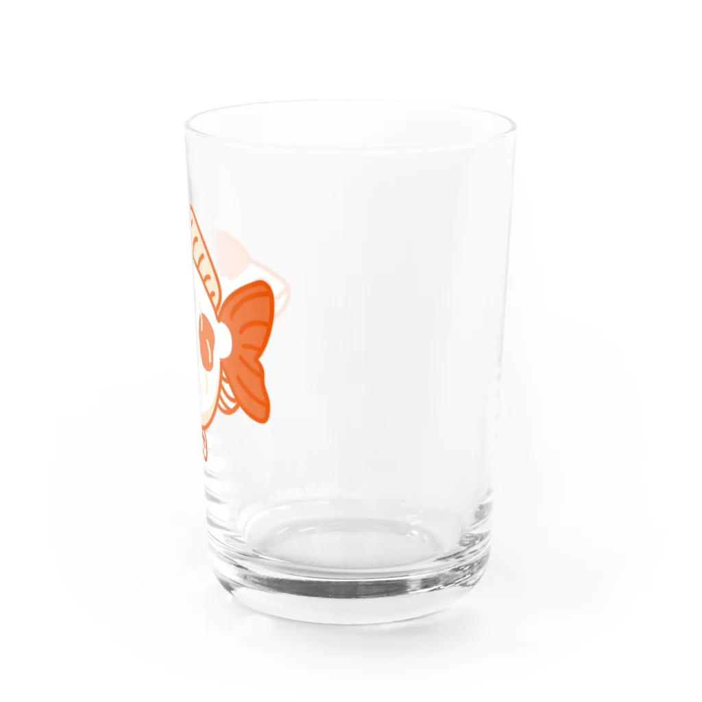 piccolo-acquarioの金魚「福だるま」 Water Glass :right