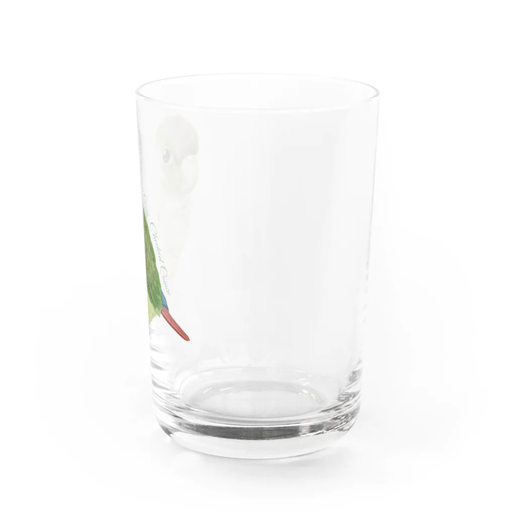 mariechan_koboの107 ウロコインコシナモン simple Water Glass :right